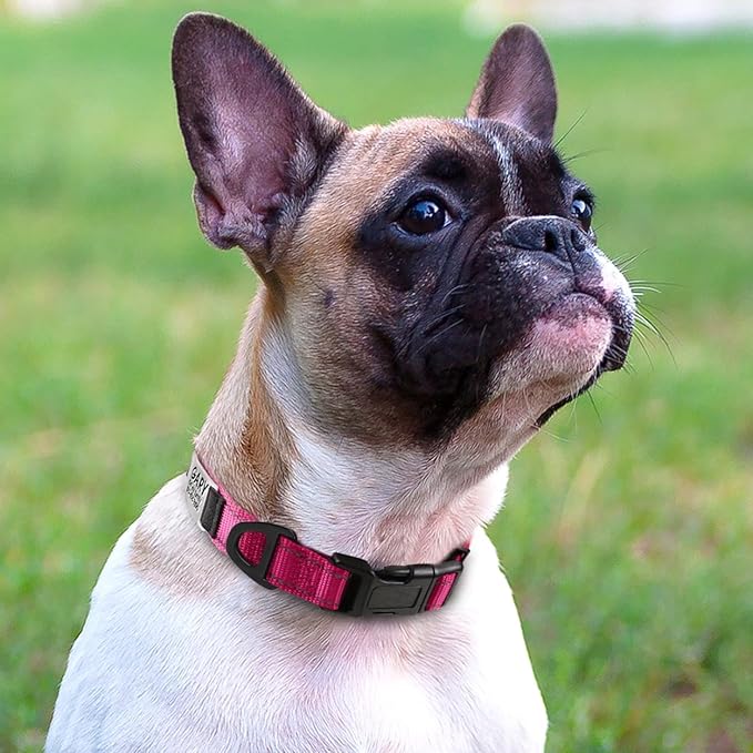 Joytale Personalized Dog Collars with Engraved Name Plate, Silent No Jingle Custom Nylon Collar with Fixed ID Tag, Reflective Soft Neoprene Padded Breathable for Puppy and XSmall Dogs, Hotpink