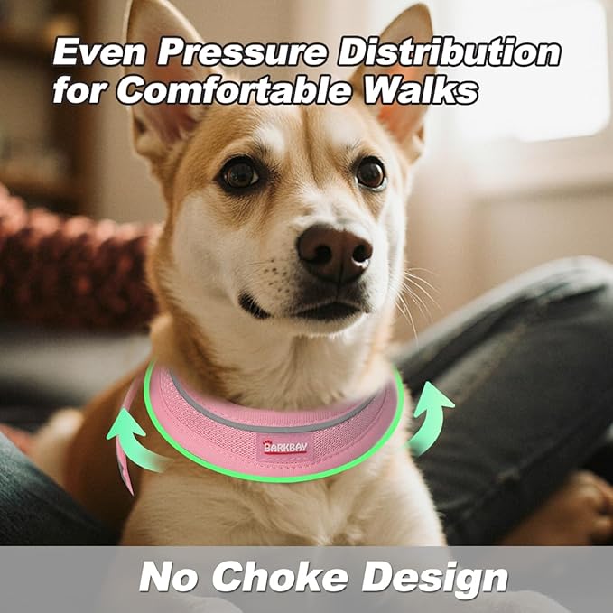 Dog Harness and Leash Set,Step in Small Sized Dog Harness,Soft Mesh,No-Chock,Reflective Adjustable,Secure with Hook & Loop Fastener,Puppy Vest for Small,Medium Dogs(Baby Pink,S)