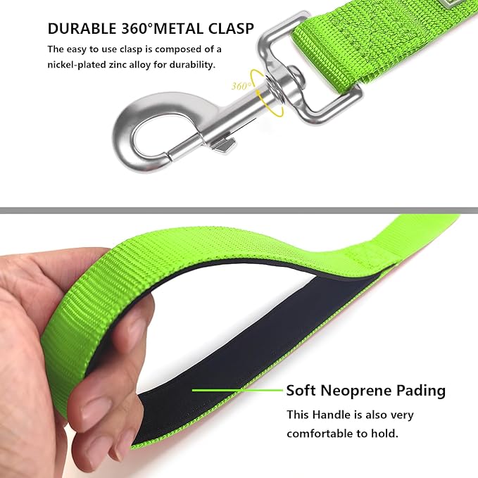 Basic Dog Leashes 6 FT Padded Handle Nylon Dogs Leashes for Small Dogs Green