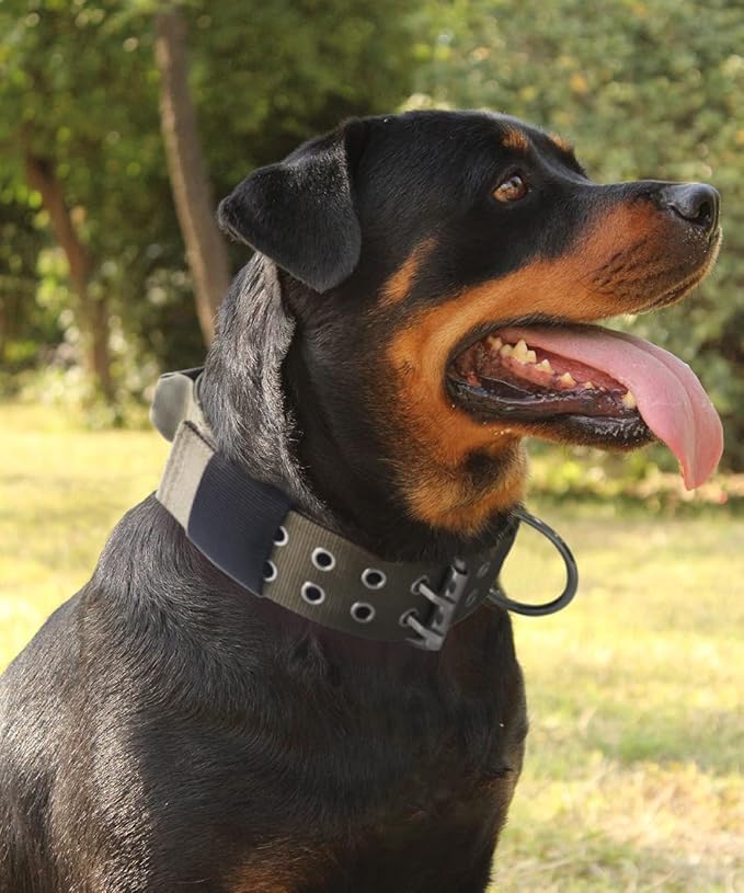 Dog Collar for Large Dogs - 2" Wide Tactical Collars with Handle for Extra Large Breed Dogs, Camo Military Heavy Duty 1/3" Thick Puppy Collar K9 Nylon Pet Collar M