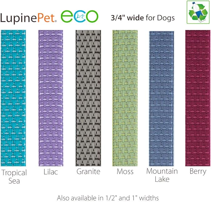 LupinePet Eco 3/4" Mountain Lake 6-Foot Padded Handle Leash for Medium and Larger Dogs