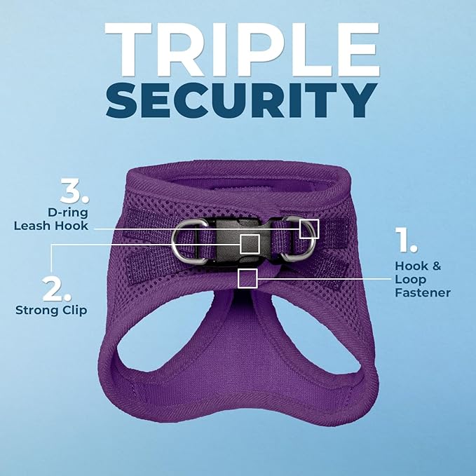 Voyager Step-in Pet Harness - All Weather Mesh, Adjustable Step in Harness for Cats and Dogs by Best Pet Supplies - 307S Purple, XXXS