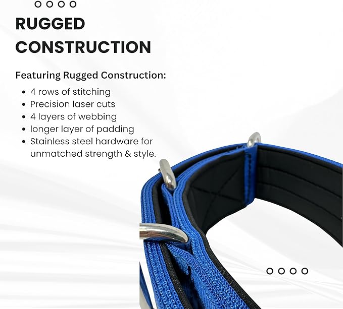 SparkDog Collars Padded Working Dog Collar - 2" 4ply Padded Dog Collar Heavy Duty Stainless Steel Tactical Seatbelt Wide Buckle Collar (Blue 2.0, 16-21" Large)