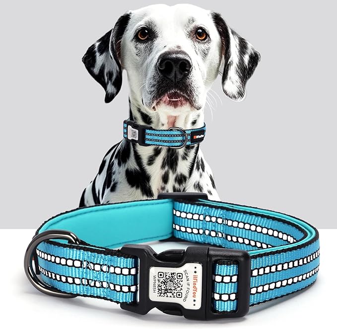 Reflective Dog Collar with QR Code Tag, Personalized Dog Collar, Safety Night Visibility, Anti-Loss Function (Blue, Large)
