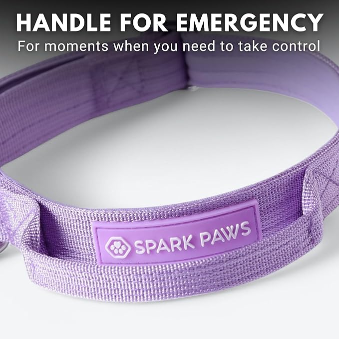 Spark Paws Tactical Dog Collar - Heavy Duty, Premium Quality, Thick and Durable for Large and Medium Dogs - Purple - XS - 1"