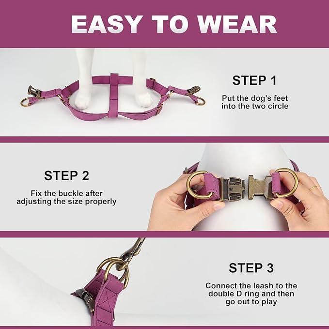 Didog Step in Dog Harness - PU Leather Dog Harness with Antique Bronze Metal Buckle, Easy Walk Dog Halter Harness for Medium Large Dogs Walking Training (Purple, M: Chest 20-29")