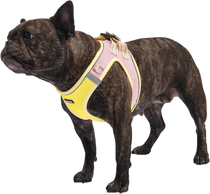 AMTOR Small Dog Harness with Leash Set, No Escape Easy Walk Puppy Harnesses for Training Walking, Step-in Reflective Soft Dogs Vest for XS S Medium Extra-Small Large Sized Dog(XL,Yellow)