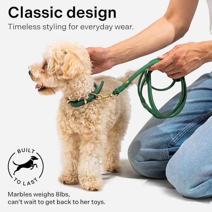 Scout Supply Classic Leather Dog Leash | Strong Heavy Duty Thick Full Grain Leather | Waterproof & Rust-Proof Brass Hardware (Green, L: 4.5 ft x 2/3 in)