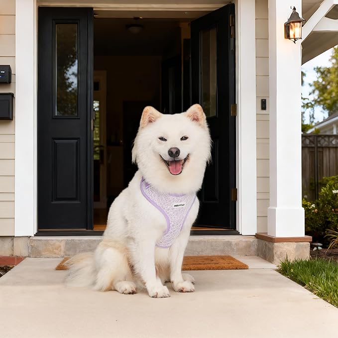 No Pull Dog Vest Harness for Small&Medium Dogs, Side Clip Adjustable Pet Vest, Soft Breathable, Fashion Dog Harnesses for Walking, Running, Shopping (Purple, M)