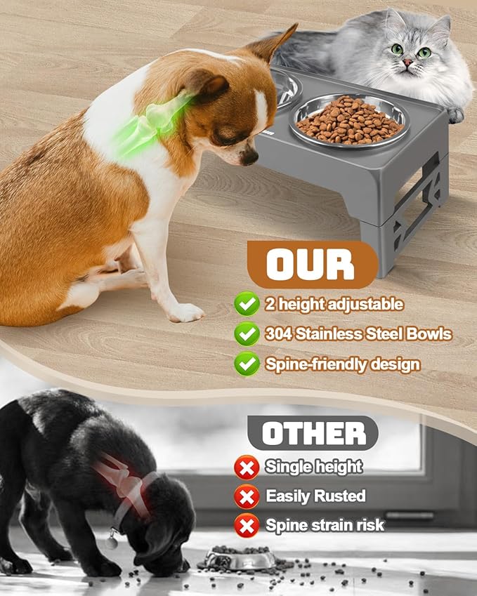 Elevated Dog Bowls, Dog Feeder with 2 Stainless Steel Dishes, 2 Heights Adjustable Raised Stand for Small Dogs, Food Dishes with Non-Slip Feet