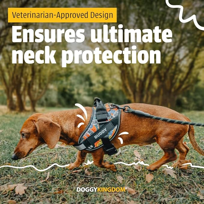 Personalized No-Pull Dog Harness with Name Patch, Adjustable, Reflective, Padded, Heavy Duty Pet Vest to Prevent Tugging, Pulling, or Choking, Training and Walking, Military Green, S