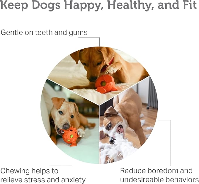 Friends Forever Squeaky Dog Toys with Tennis Ball, Tough Dog Chew Toy, Interactive Fun Indoor Play, Non-Toxic Durable Natural Rubber Puppy Teething, Dinosaur Citron/Orange 2 Piece