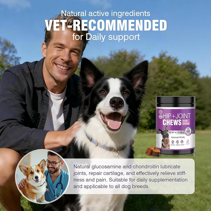 Glucosamine for Dogs 200pcs Joint Support Supplement Dog Hip and Joint Chondroitin Chews Treats with MSM Hemp Dog Joint Pain Relief Mobility Supplements Duck Flavor Fit All Large Small Medium Breed
