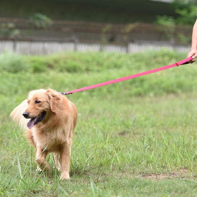 Hyhug Nylon Adjustable 4-6ft Dog Leash with Soft Neoprene Padded Handle, Durable Heavy Duty Leash with Easy-to-Use Bolt Snap, Ideal for Jogging Outdoor