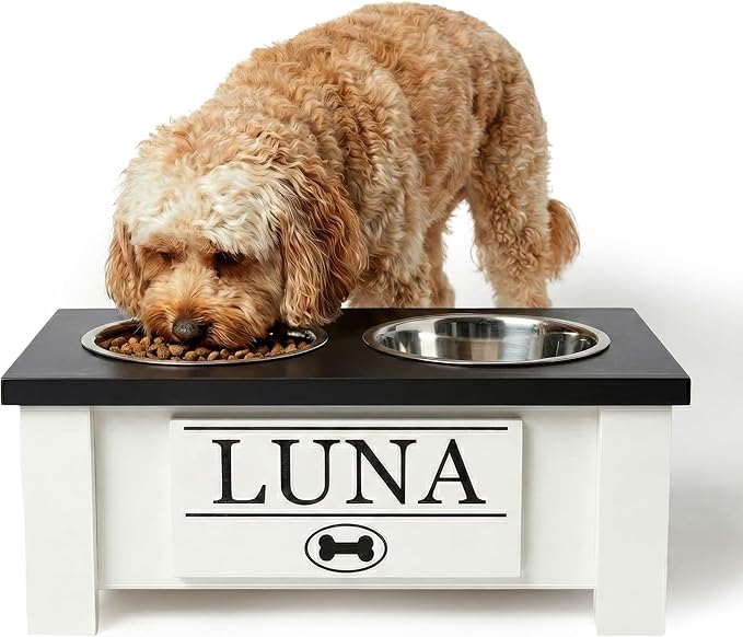 GTW Personalized Elevated Dog Bowl Stand for Large, Medium, Small, X-Small Dogs - Stainless Steel Food and Water Bowls - Raised Dog Dish with Internal Storage (Small, Black)