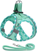 AMTOR Small Dog Harness with Leash Set, No Escape Easy Walk Puppy Harnesses for Training Walking, Step-in Reflective Soft Dogs Vest for XS S Medium Extra-Small Large Sized Dog (S,Light Green)