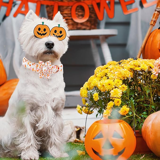 Elegant Little Tail Halloween Dog Collar with Pumpkin & Flowers for X-Small Dogs