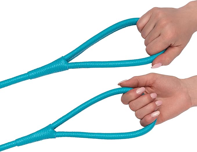 OOPSDOGGY Rolled Leather Dog Lead 6ft Heavy Duty Training Leash for Small Medium Large Dogs & Puppy Black Brown Red (Blue, Small)