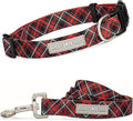 Lucky Love Dog - Easy Click Buckle Dog Collar with Leash Set Combo, Durable & Comfortable for Male & Female Dogs, Pet Collar for Large Dogs, Secure Fit - Heywood Combo, Large