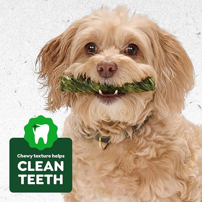 Greenies Occupy Twists Natural Dog Treats Regular Size Dog Chews Long Lasting Chicken Flavor, 17.2 oz. Pack, 12 Count
