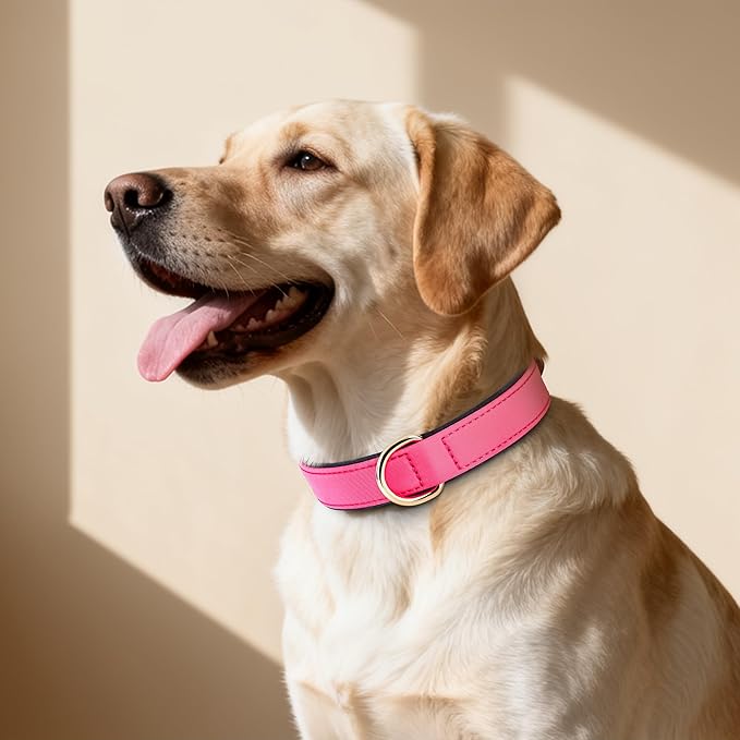Didog Soft Padded Dog Collar for Large Dogs, Lightweight and Breathable Dog Collar with Metal Buckle, Pink, XL