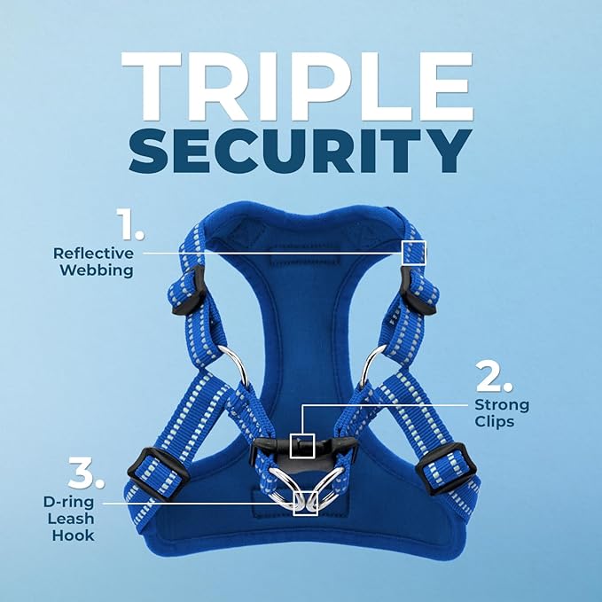 Best Pet Supplies Voyager Adjustable Step-in Flex Breathable Mesh Dog Harness for Small Medium Large Dogs Leash Set (Royal Blue), M