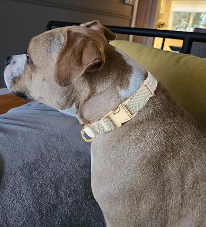 Soft Cotton Hemp Dog Collar with Metal Buckle Adjustable Twilled Dog Collars for Small Medium Large Dogs(Grey,Large)