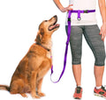 The Buddy System Hands Free Dog Leash, Adjustable Leash for Running, Jogging, Training and Service Dogs, Great for Small, Medium and Large Dogs, Made in USA (Purple, X-Large Belt (33"- 60" Waist))