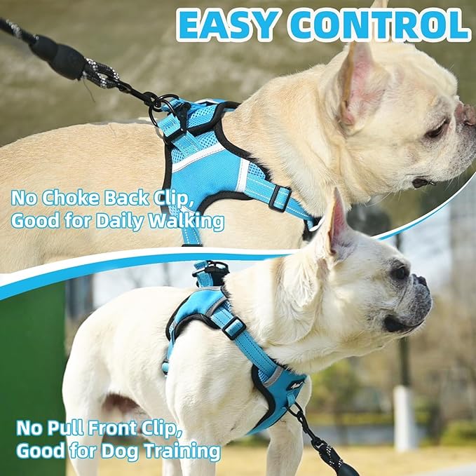 PUPTECK No Pull Dog Harness Small Sized Dog, Adjustable Reflective Escape Proof Easy Control, Comfortable Soft Padded Step in Pet Vest Harness, Blue, S