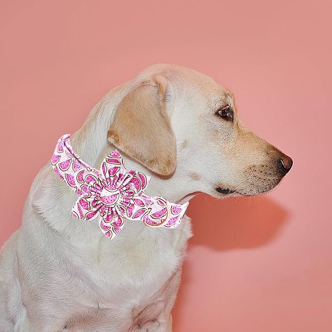 Elegant little tail Dog Collar with Flower, Watermelon Print Pet Collar Flower Pet Collars Summer Cute Adjustable Dog Collars for Large Dogs