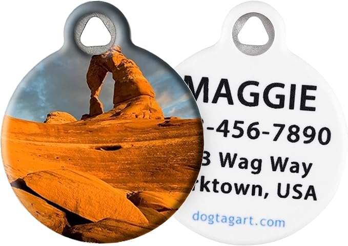 Dog Tag Art Nature and Outdoors Custom Pet ID Tag for Dogs and Cats, Personalized Dog Tag with Customized Identification, Arches National Park, Small (7/8" Diameter)