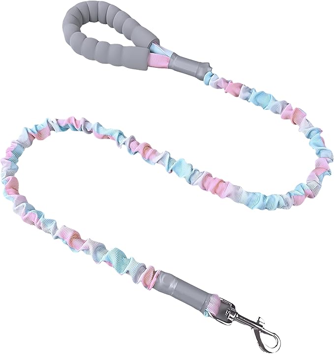 Ombré Shock-Absorbing Dog Leash with Padded Handle, Heavy Duty Bungee Leash for Large Dogs, 1.2–1.7 m(4–5.5 ft) (Pink-Blue Ombré)