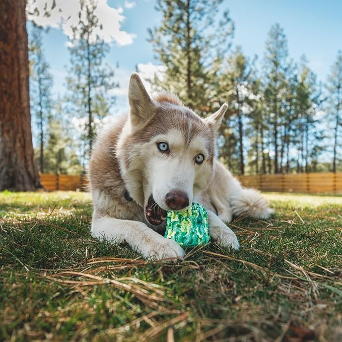 Ruffwear, Morel Toy, Interactive Enrichment Toy for Dogs, Moss Green