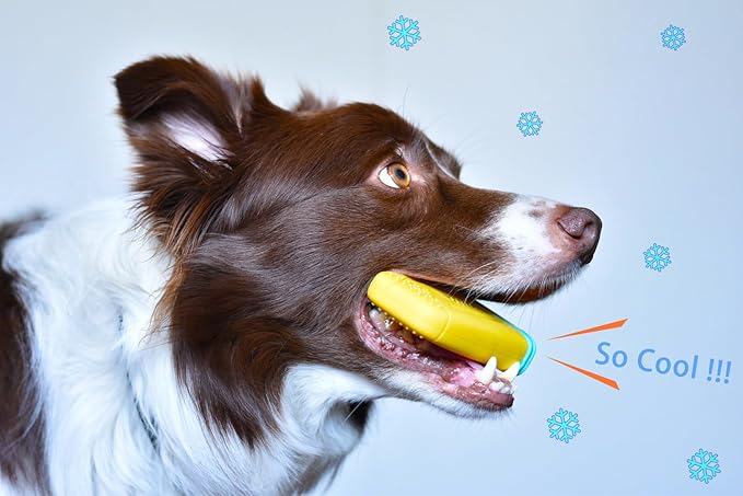 LaRoo Dogs Toys for Summer Cooling, Frozen Dog Toys, Full with Water Frozen, Prevention of Heat Stroke Upgraded Teething Chew Toy (Ice Pop Shape-Yellow)