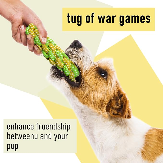 12 Pack Dog Squeaky Toys: Cute Interactive Plush Chew Toys with Rope, Puppy Teething Toys Bundle for Small Medium Dogs to Keep Busy
