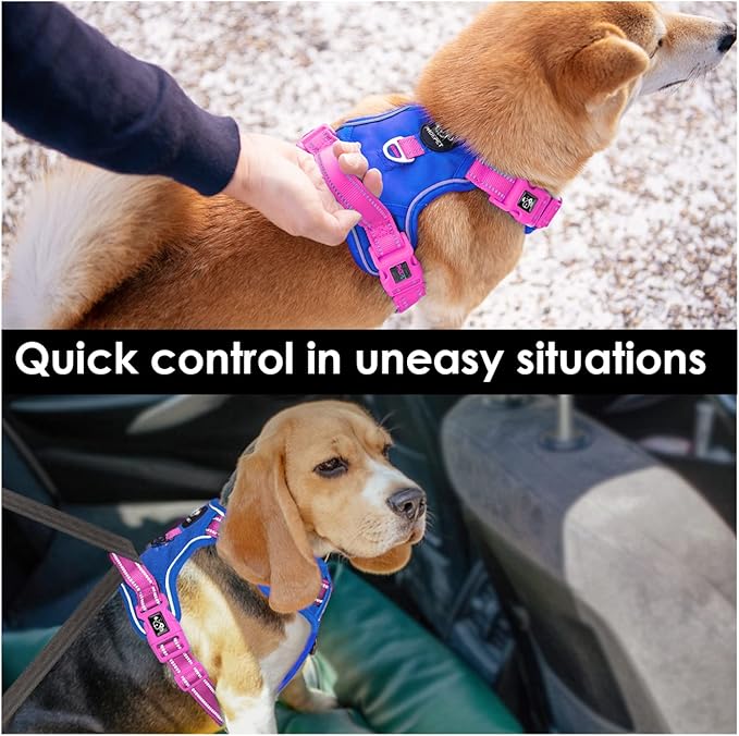 PHOEPET No Pull Dog Harness, Unique Colors Reflective Adjustable Dog Vest, with Soft Training Handle Metal Clips for Small Medium Large Dogs (Royal Blue Base & Pink Straps,XL)