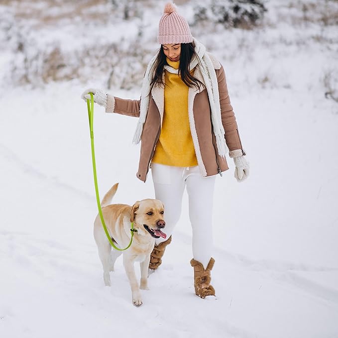 Dogline Biothane Slip Dog Leash - for Small, Medium and Large Dogs - Odor Free Slip Lead, Heavy Duty and Durable Material Kennel Lead - Safety Yellow - 5ft L x 5/8in W