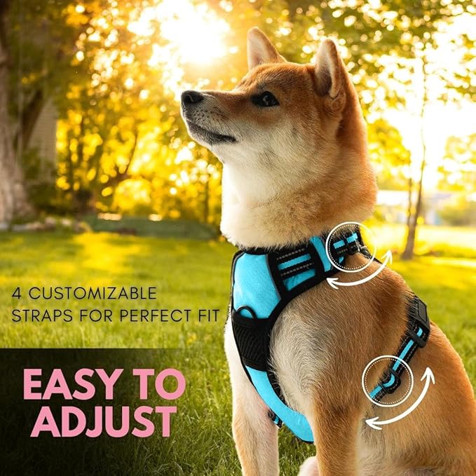 Ziggy Pet Dog Harness Adjustable Nylon Mesh Vest with Leash Clips (Blue, Medium)