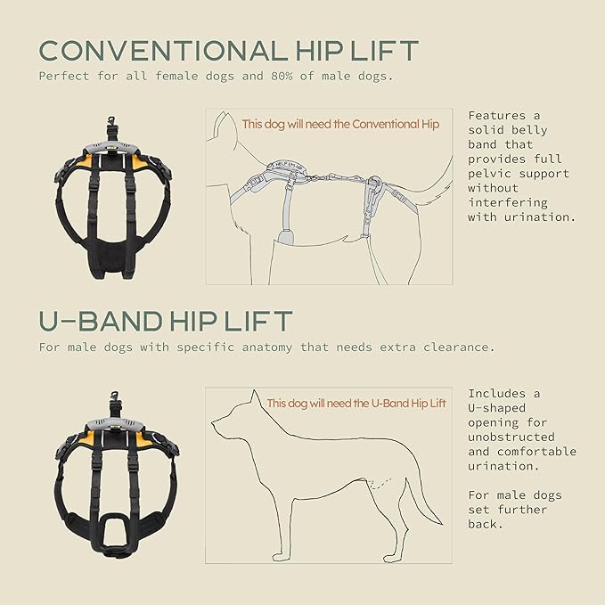 Help 'Em Up® - Dog Lift Harness│ Adjustable Lifting Harness for Dogs │ Full Body Support, Rear Leg Support (U-Band, Medium)