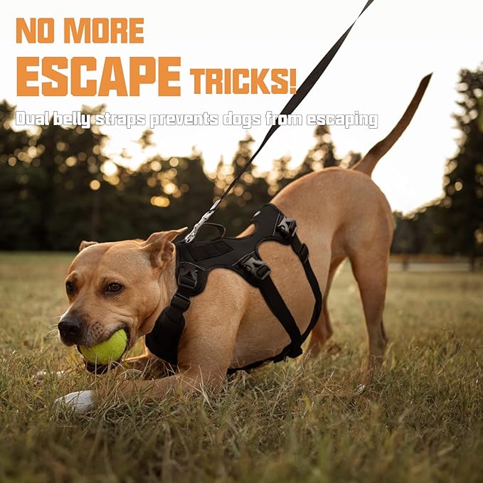AUROTH Escape Proof Dog Harness - No Pull with Lift Handle, Soft Padded Reflective Adjustable Vest, Large for Walking, Hiking, Training
