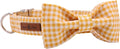 Lionet Paws Dog Collar with Bowtie, Durable Adjustable and Comfortable Collar for Large Dogs, Neck 16-24in