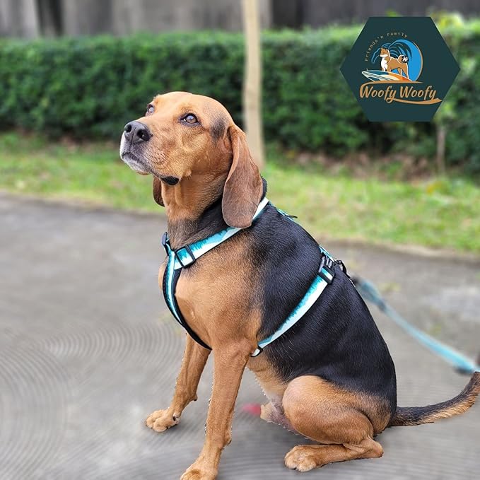 Casual H Dog Harness, No-Pull Pet Harness with 2 Leash Clips, Adjustable Soft Padded Dog Vest for Small, Medium, and Large Dogs, Forest Green Gradiant Color (L)
