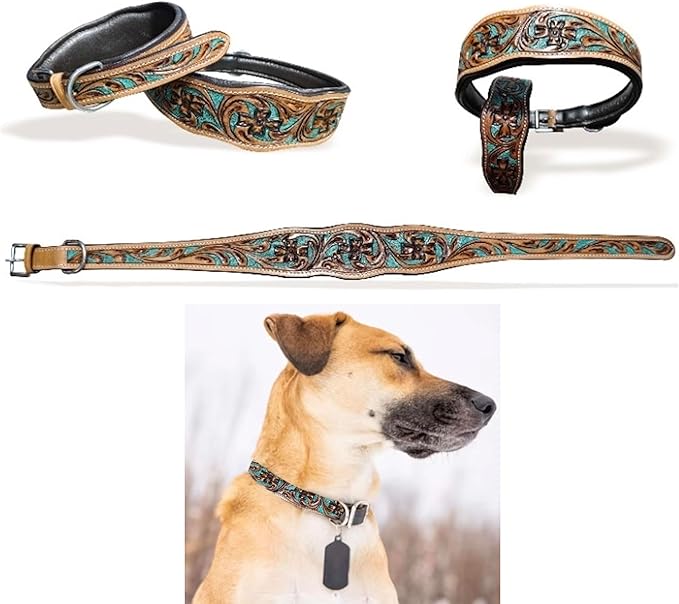 Majestic Ally Leather Dog Collar with Adjustable, Padded Fit for Walking, Hiking, and Running, Designer Western Wear for Puppies, Fancy Colors (Turquoise - Natural, Small)