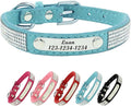 Personalized Dog Collar with Rhinestone Name Tag - Glitter Polyester Collar Adjustable [Sky Blue,XS]