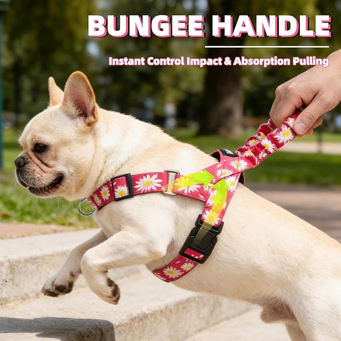 PUPTECK No Pull Dog Harness Small Sized Dog, Adjustable Reflective Pet Vest Harness with Bungee Handle, Escape Proof No Choke Harness for Small Dogs Walking Training, Fuschia Daisy M