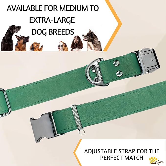 ADITYNA Leather Dog Collar with Metal Buckle - Heavy-Duty, Adjustable for Medium & Large Dogs - Walking, Training, Hiking (Green, Fits 15-21" Necks)
