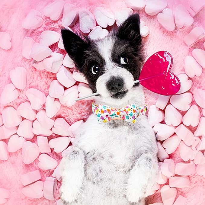 Elegant little tail Valentine's Dog Collar, Heart Dog Collar Cute Girl or Boy Puppy Collars Bowtie Pet Gift Adjustable Pet Collars for X-Large Dogs