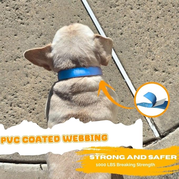 Waterproof Dog Collar, Soft Comfortable Pet Collars, Adjustable Odor Proof Heavy Duty Dog Collars Easy to Clean for Large, Medium Small Dogs by Bee N Buu (Cyan Blue, Small (length8-12, Width 3/4"))
