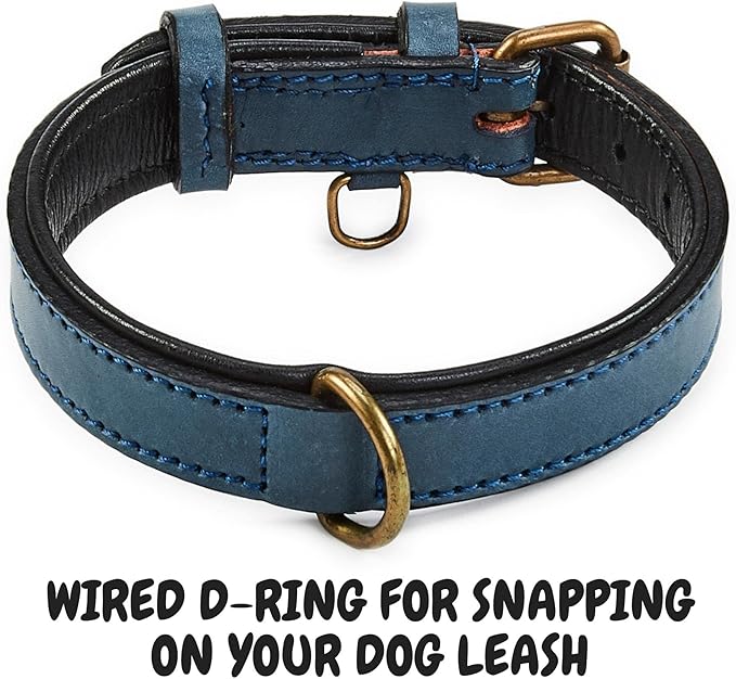 Real Leather Dog Collar Padded Soft Interiors with Premium Vintage Look Handcrafted Heavy Duty with Tag Ring for Small Medium and Large Pets (Small (1" Wide for 10.75" - 13.75" Neck), Ocean Blue)