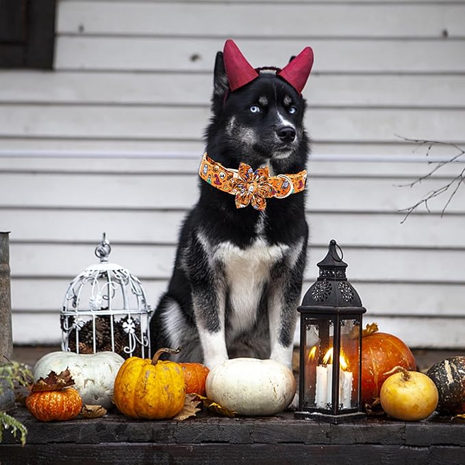 Elegant Little Tail Halloween Collar, Orange Pumpkin Dog Collar with Flower Girl Boy Pet Collar, Soft Durable for X-Large Dogs